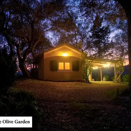 Apartmán House In The Olive Garden Ágios Ioánnis Exteriér fotografie