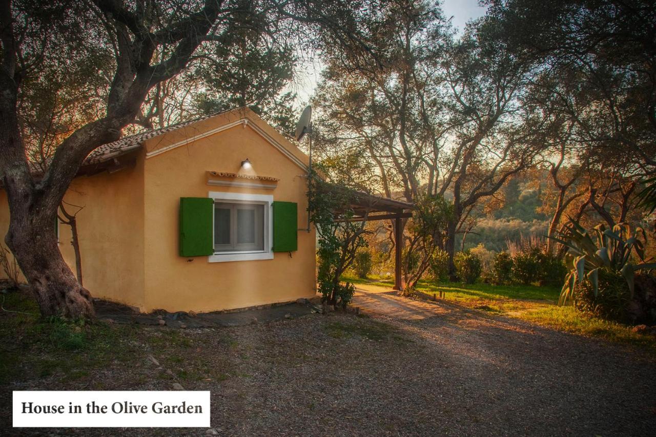 Apartmán House In The Olive Garden Ágios Ioánnis Exteriér fotografie