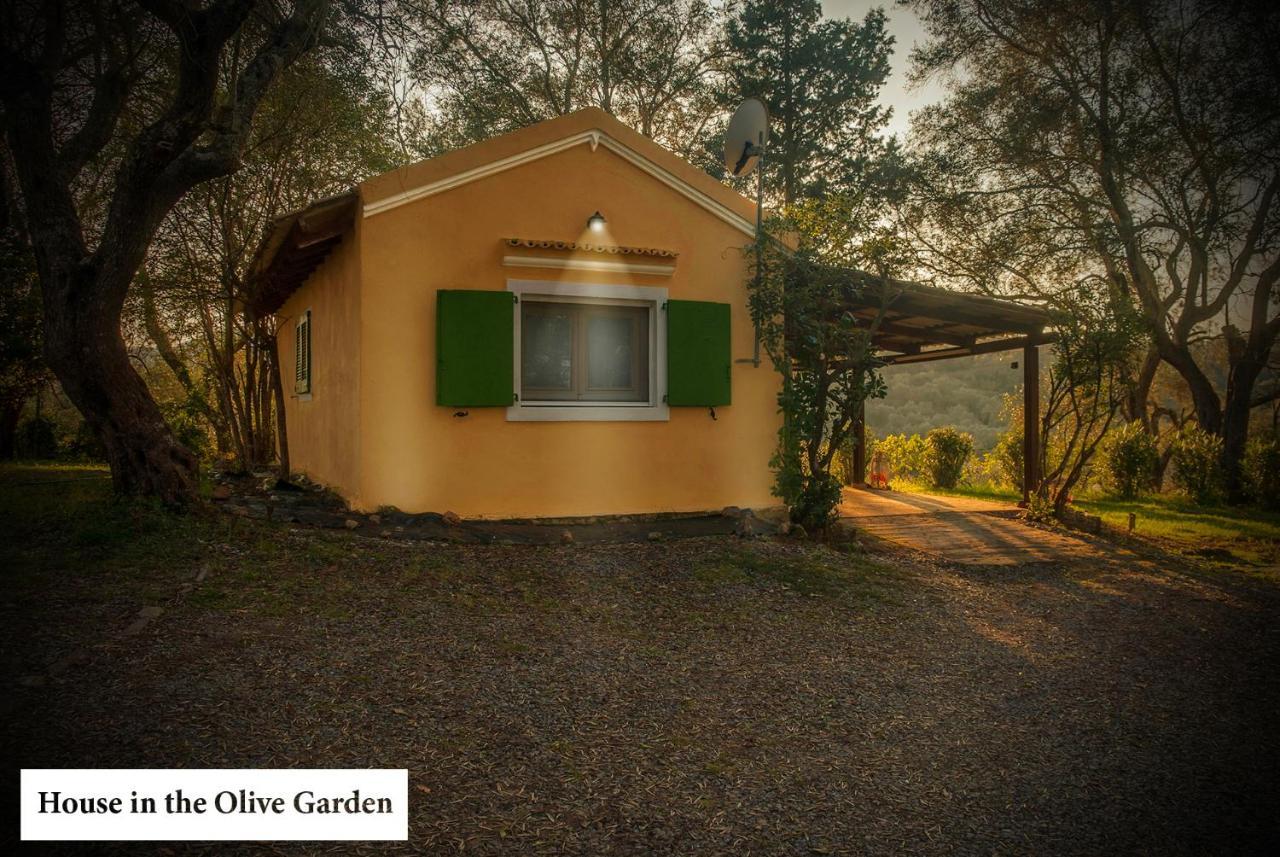Apartmán House In The Olive Garden Ágios Ioánnis Exteriér fotografie