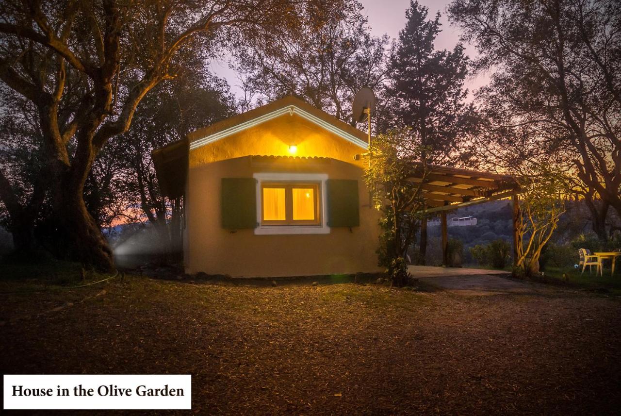 Apartmán House In The Olive Garden Ágios Ioánnis Exteriér fotografie