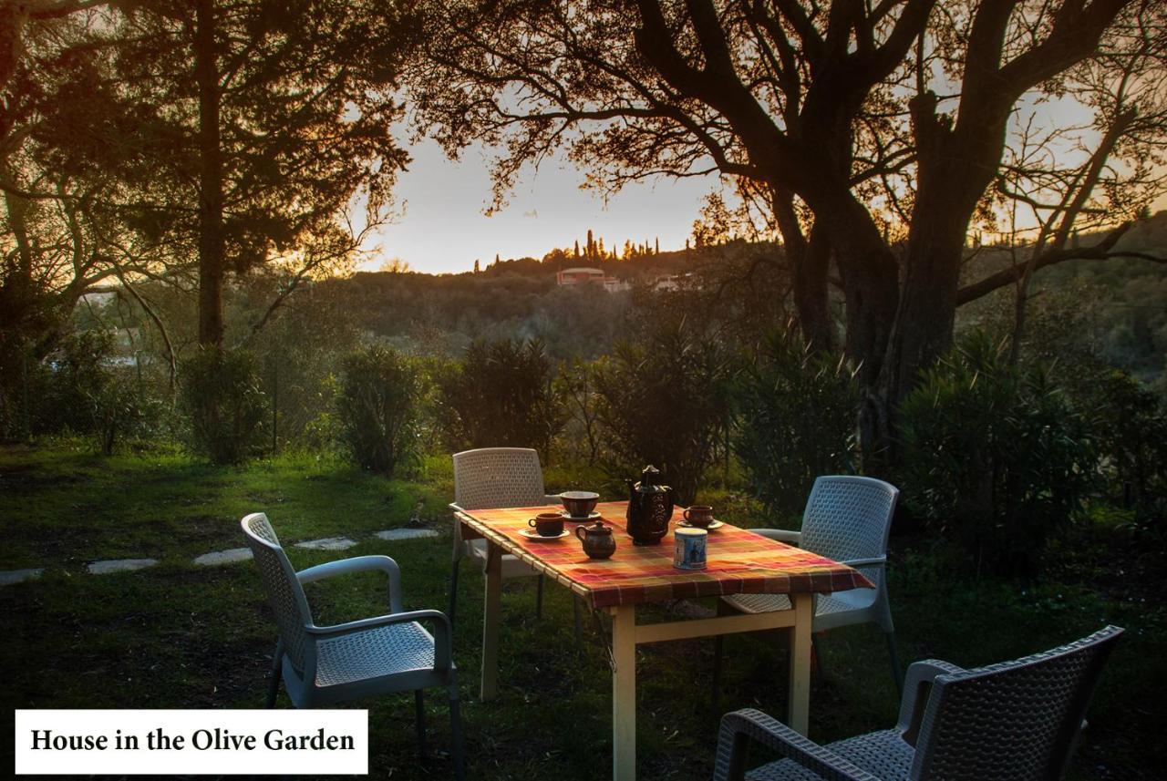 Apartmán House In The Olive Garden Ágios Ioánnis Exteriér fotografie