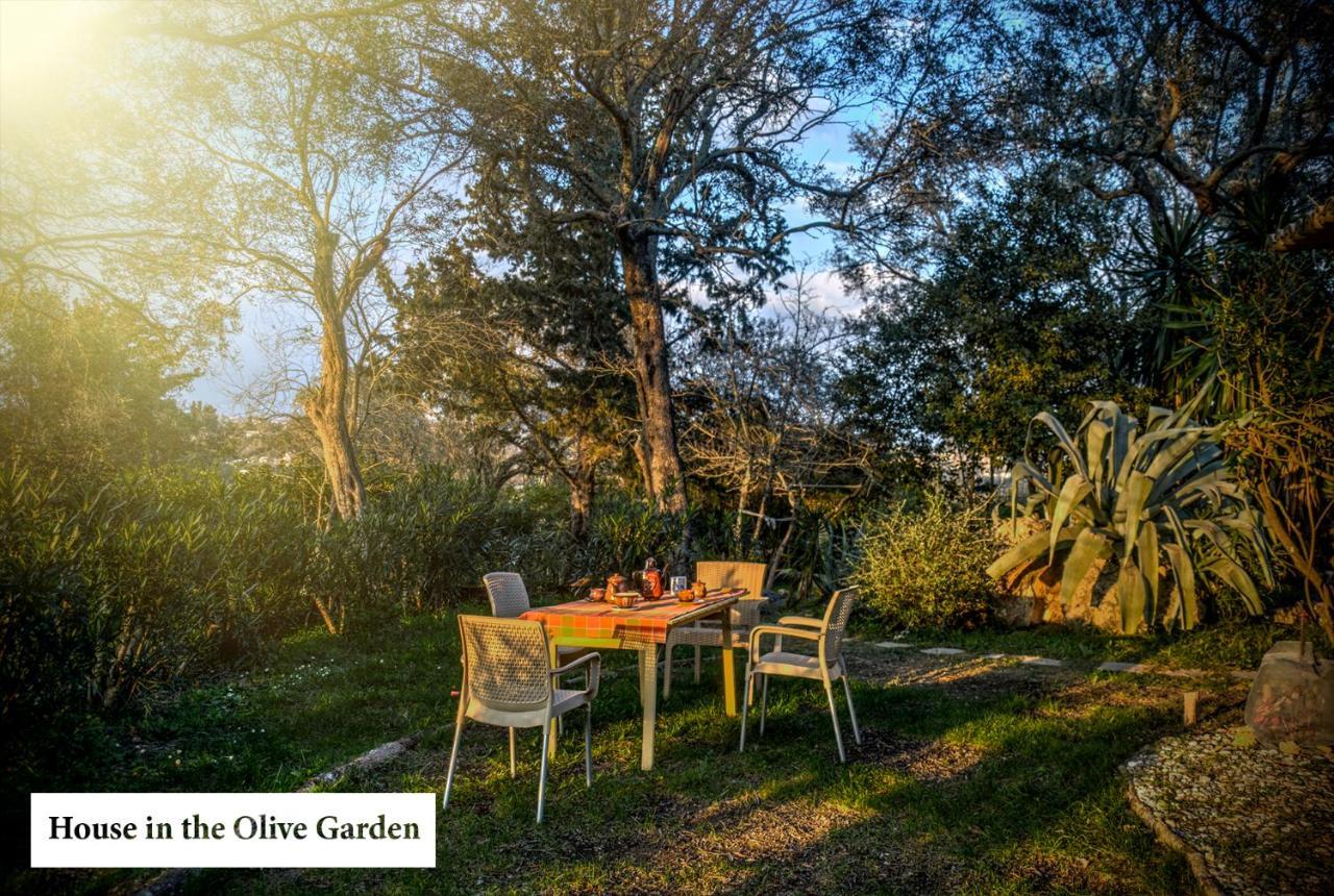 Apartmán House In The Olive Garden Ágios Ioánnis Exteriér fotografie