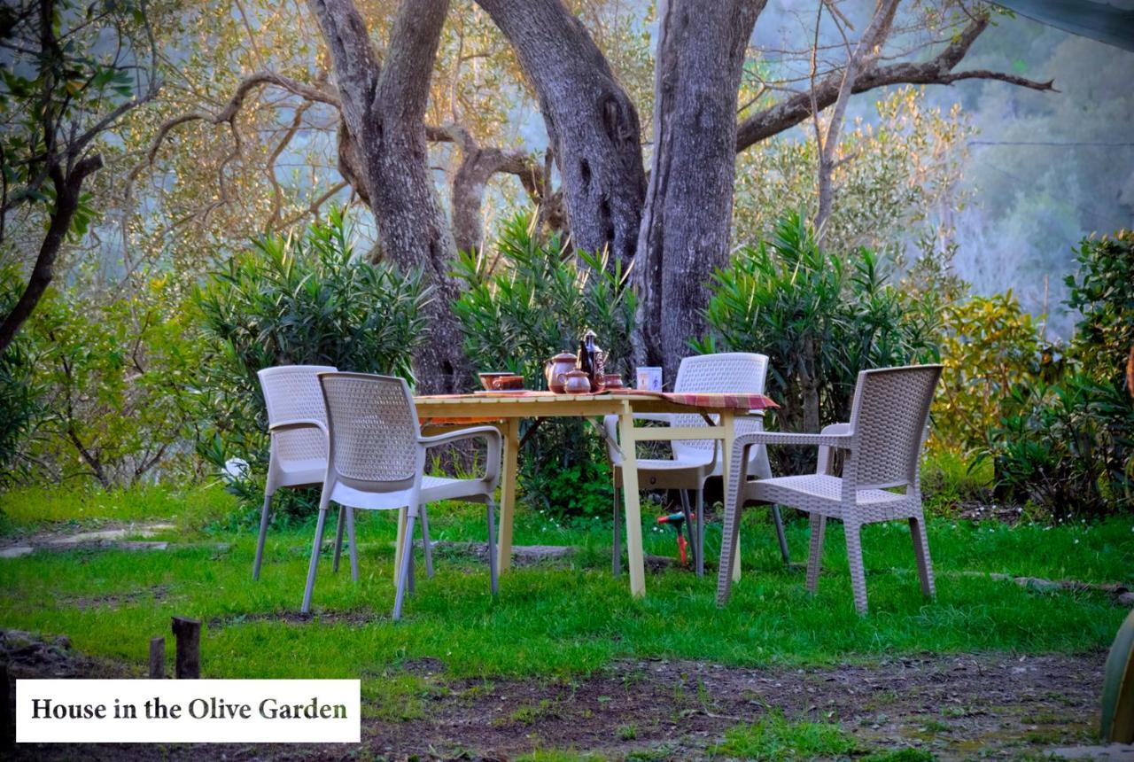 Apartmán House In The Olive Garden Ágios Ioánnis Exteriér fotografie