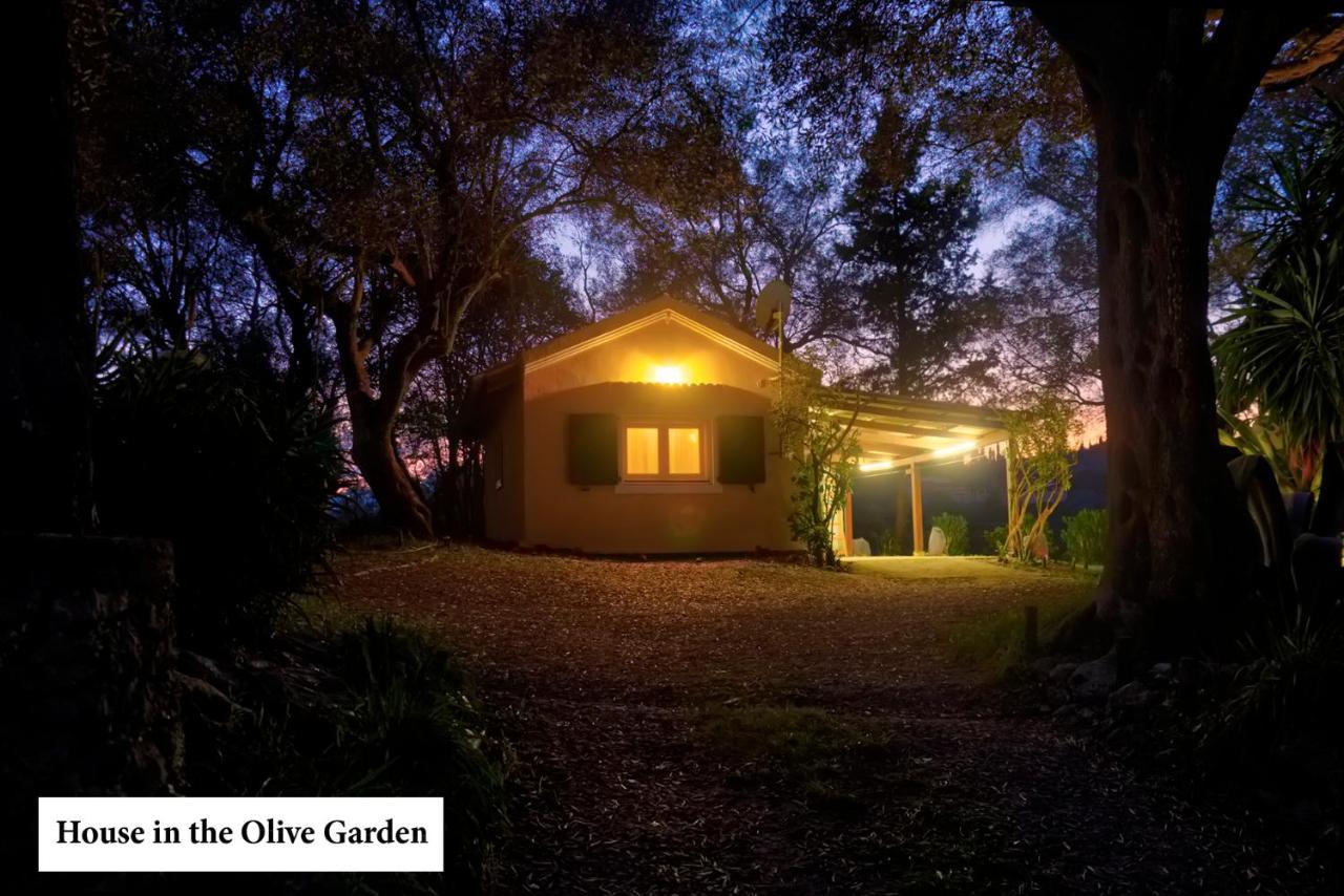 Apartmán House In The Olive Garden Ágios Ioánnis Exteriér fotografie
