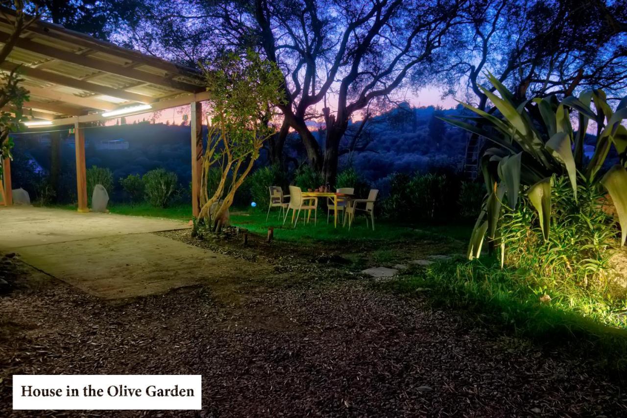 Apartmán House In The Olive Garden Ágios Ioánnis Exteriér fotografie