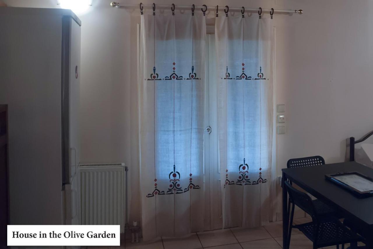 Apartmán House In The Olive Garden Ágios Ioánnis Exteriér fotografie