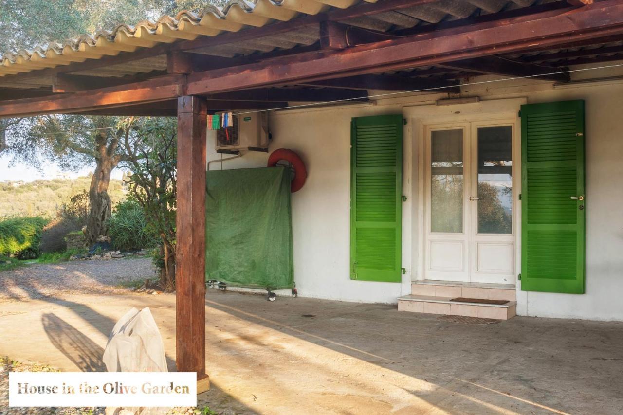 Apartmán House In The Olive Garden Ágios Ioánnis Exteriér fotografie