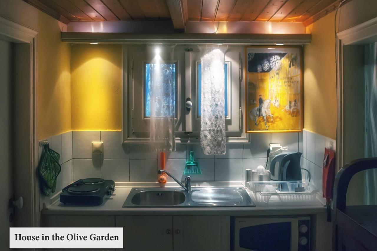 Apartmán House In The Olive Garden Ágios Ioánnis Exteriér fotografie