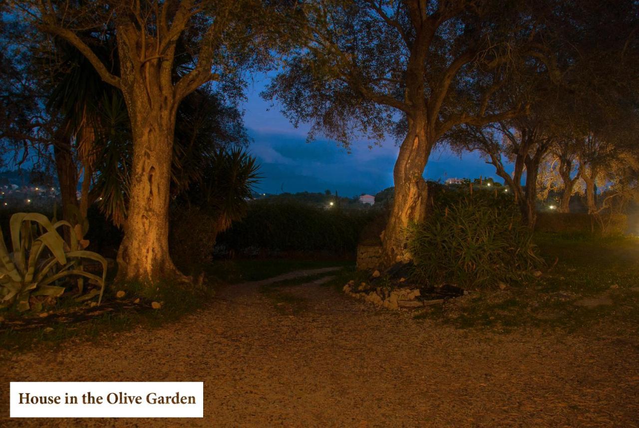 Apartmán House In The Olive Garden Ágios Ioánnis Exteriér fotografie