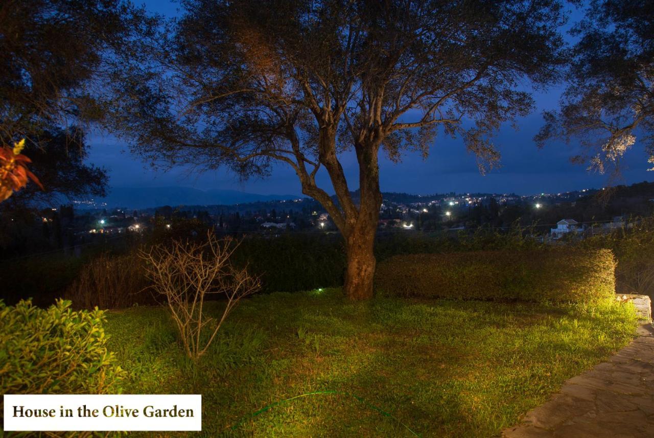 Apartmán House In The Olive Garden Ágios Ioánnis Exteriér fotografie