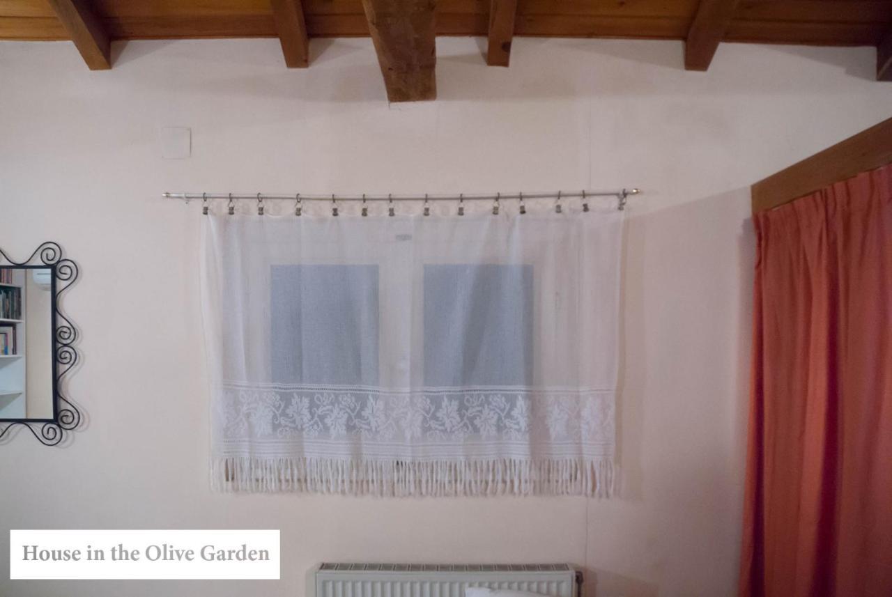 Apartmán House In The Olive Garden Ágios Ioánnis Exteriér fotografie