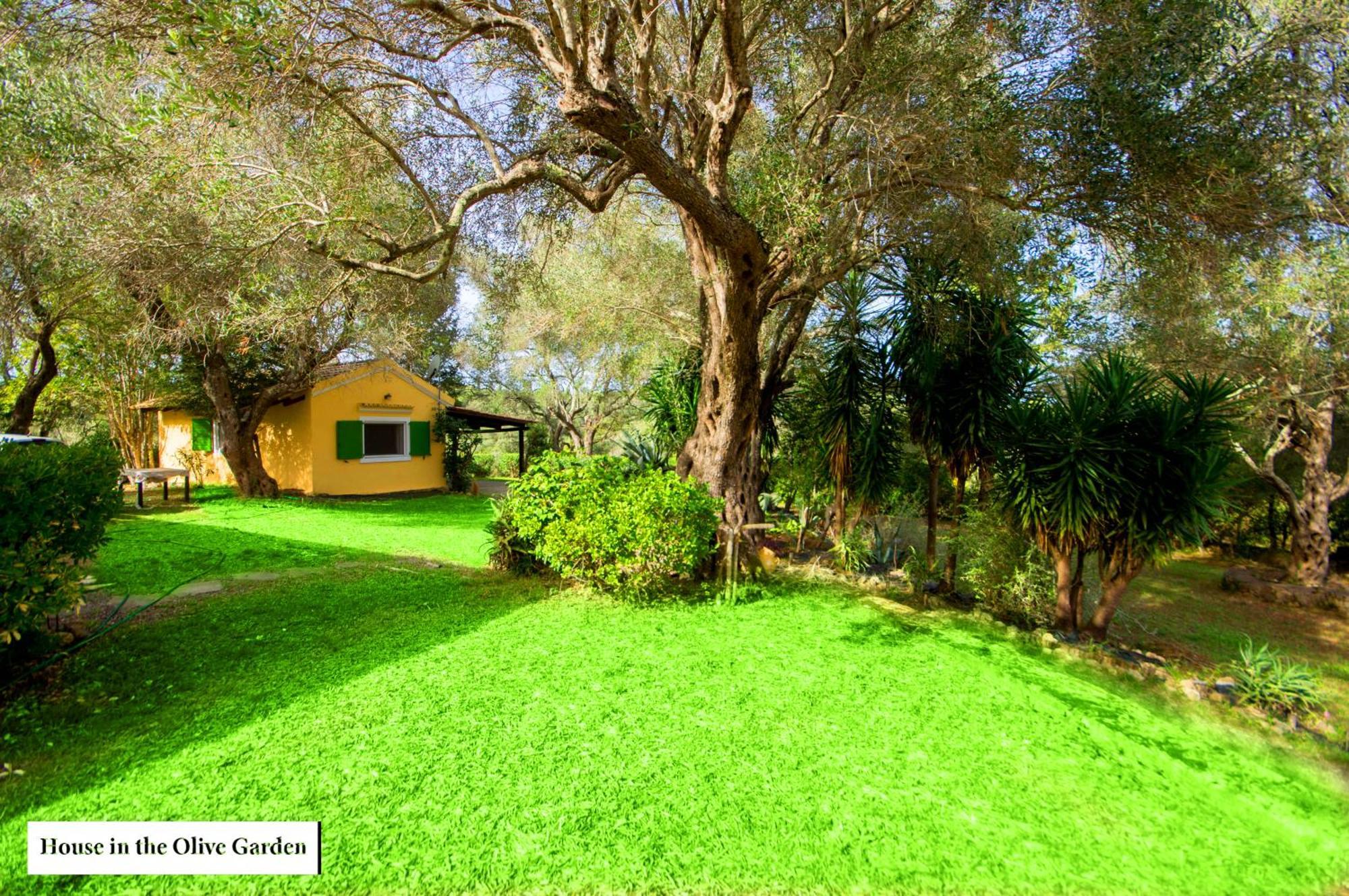 Apartmán House In The Olive Garden Ágios Ioánnis Exteriér fotografie