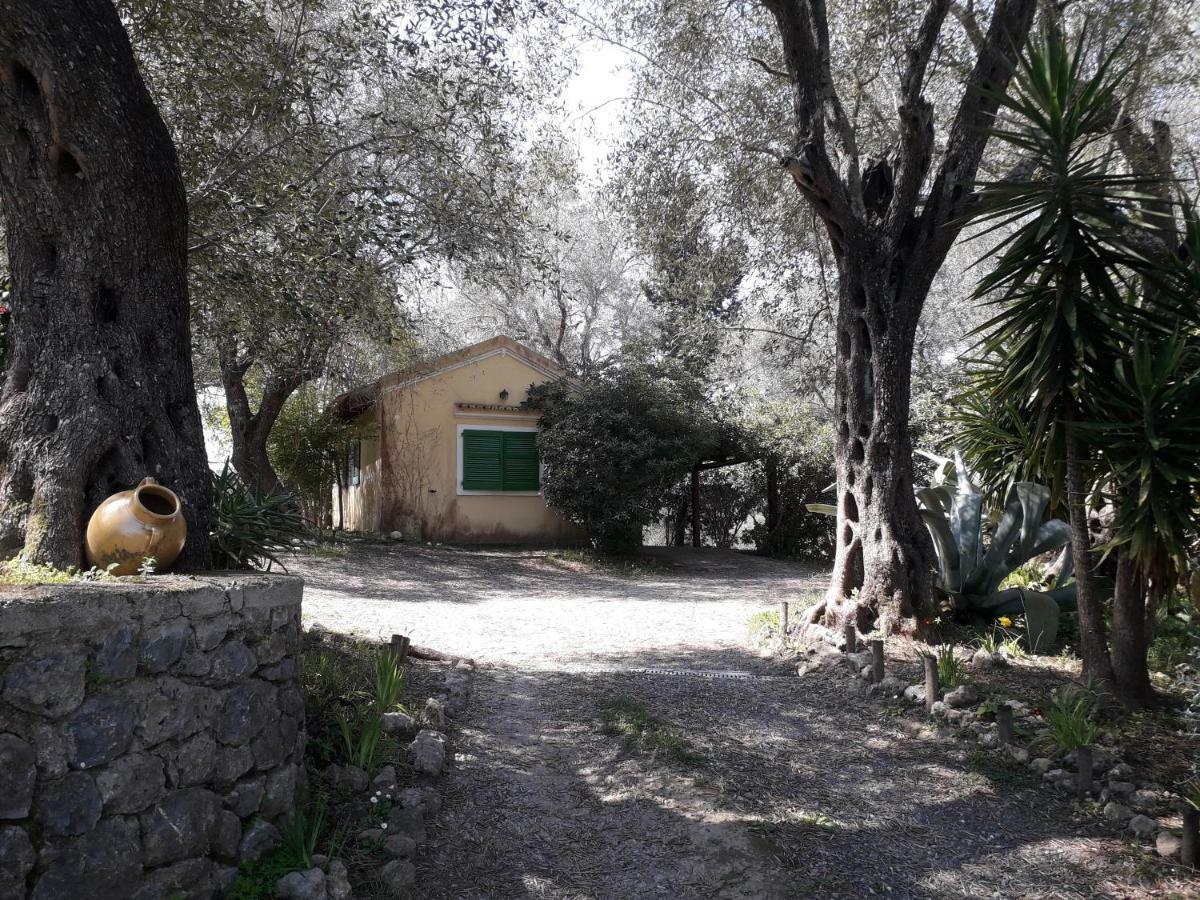Apartmán House In The Olive Garden Ágios Ioánnis Exteriér fotografie