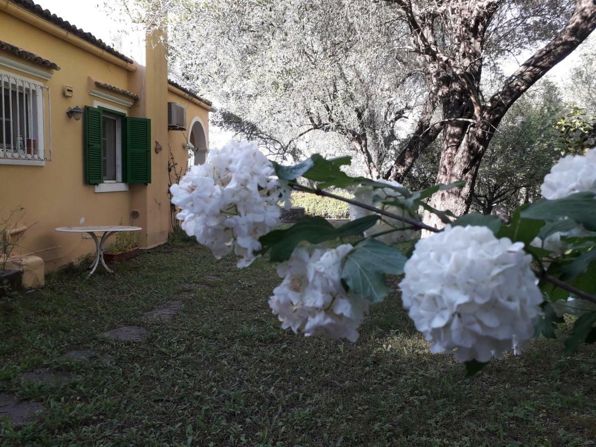 Apartmán House In The Olive Garden Ágios Ioánnis Exteriér fotografie