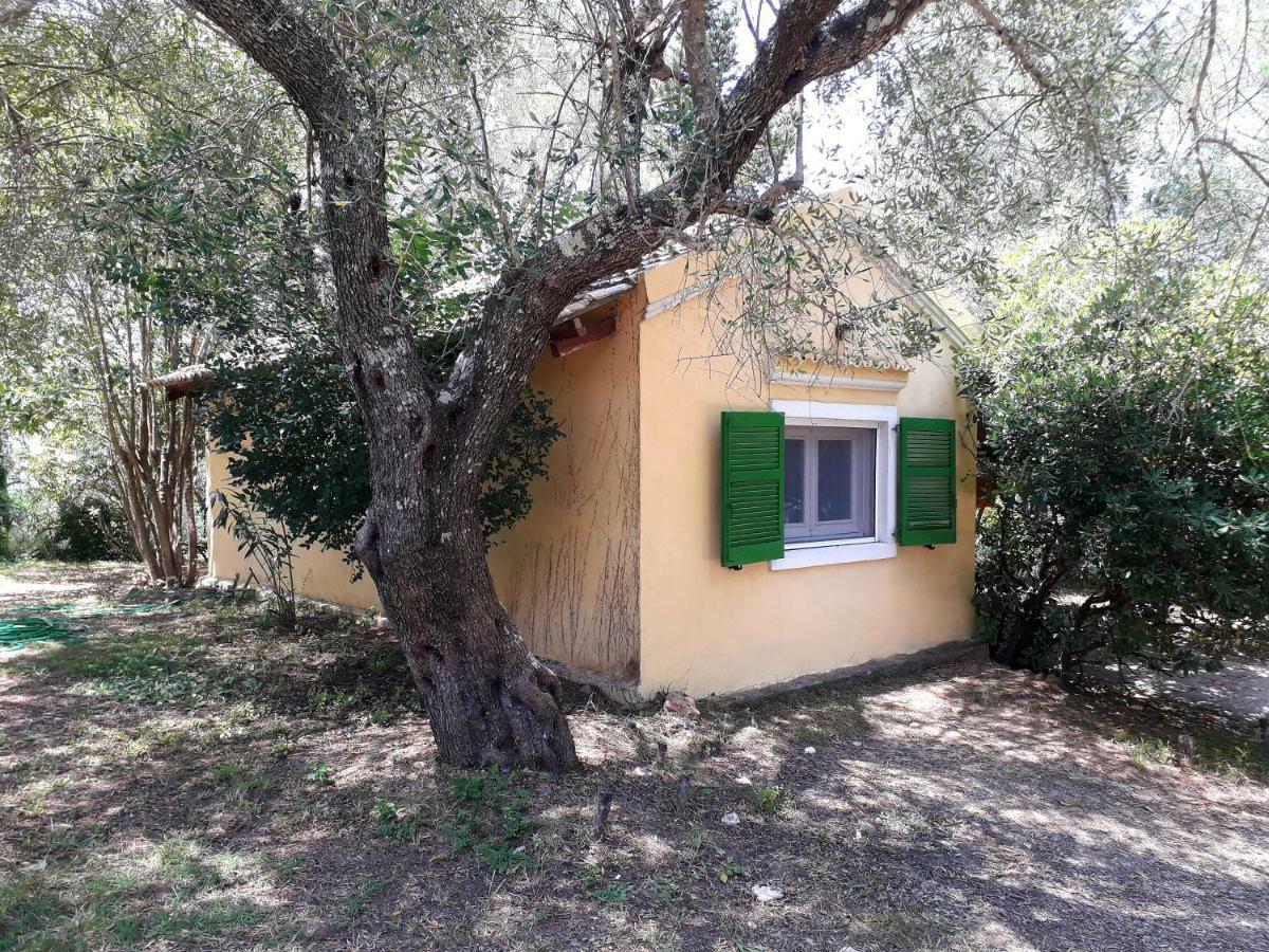 Apartmán House In The Olive Garden Ágios Ioánnis Exteriér fotografie