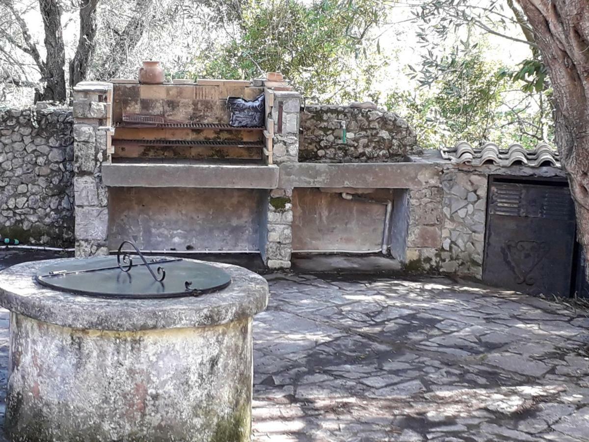 Apartmán House In The Olive Garden Ágios Ioánnis Exteriér fotografie
