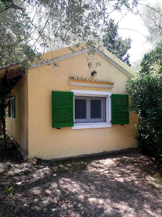 Apartmán House In The Olive Garden Ágios Ioánnis Exteriér fotografie